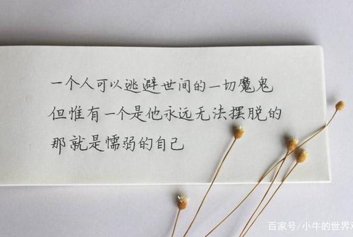 佛教不教人逃避现实，佛教不教人逃避现实的句子