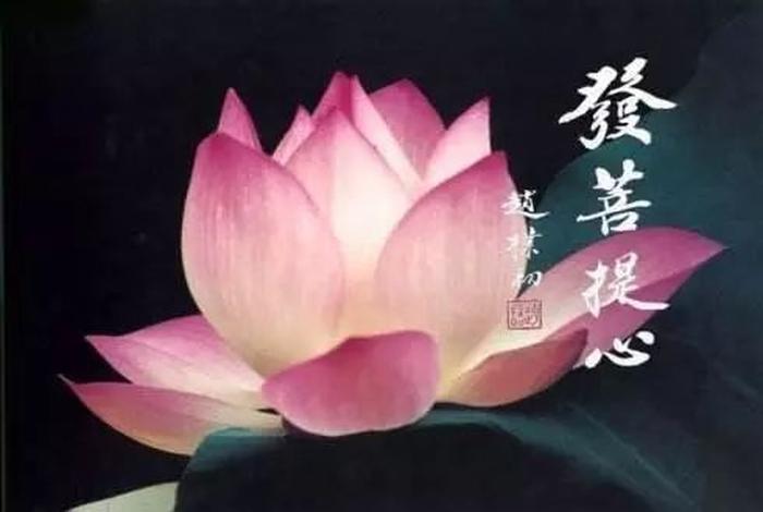 修心修佛，修心修佛视频