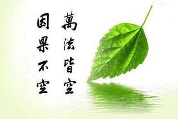 佛教造业为何意（佛语造业是什么意思）