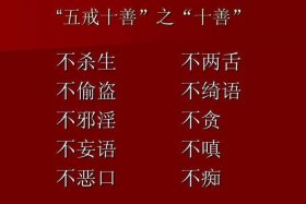 十不善业果报差别分享 - 十不善业之果