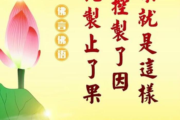 因果 佛学（因果论 佛教）