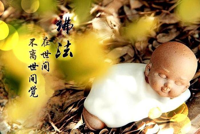 佛教戒律详解视频 - 佛教戒律详解视频全集