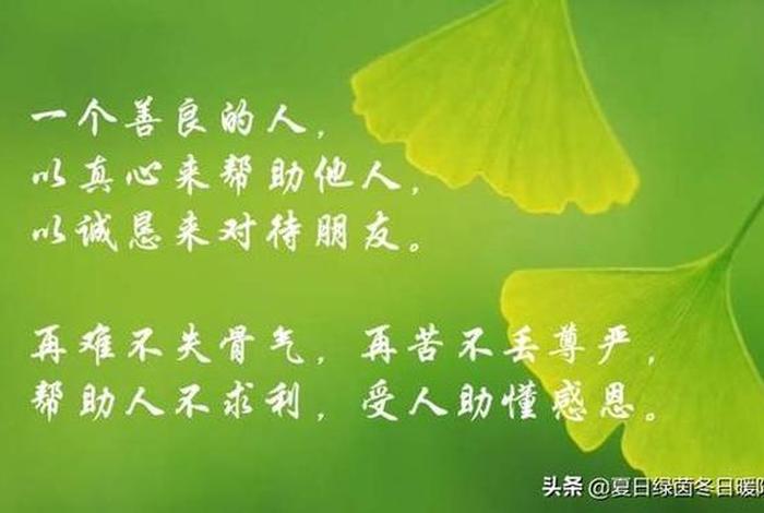 心太软是一种不公平的善良,但还是一错再错（心太软也是一种病）