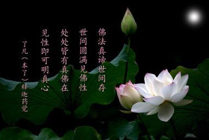莲花在佛教寓意代表什么意思 - 佛教中莲花的寓意