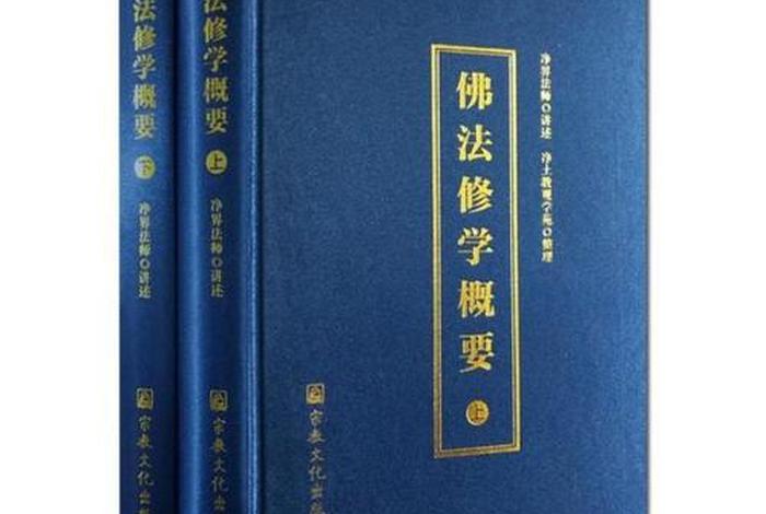 最好的佛教禅修书（最好的佛教禅修书籍是什么）