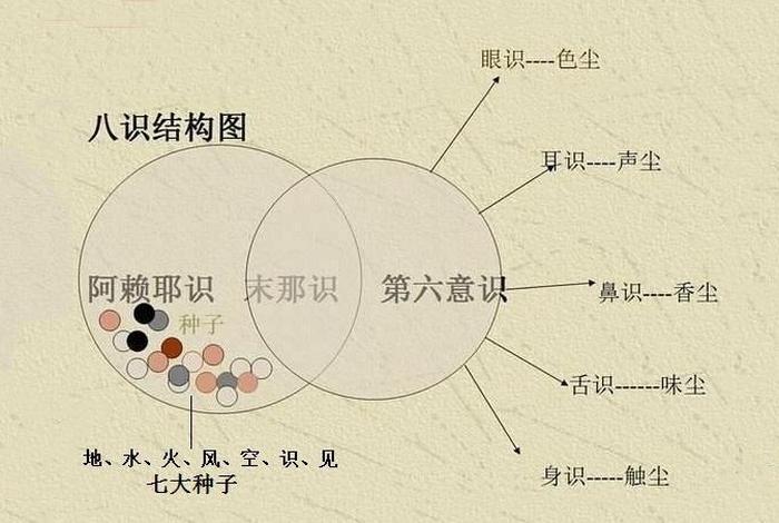 佛教第八识 第九识（佛教八识中的第八识）