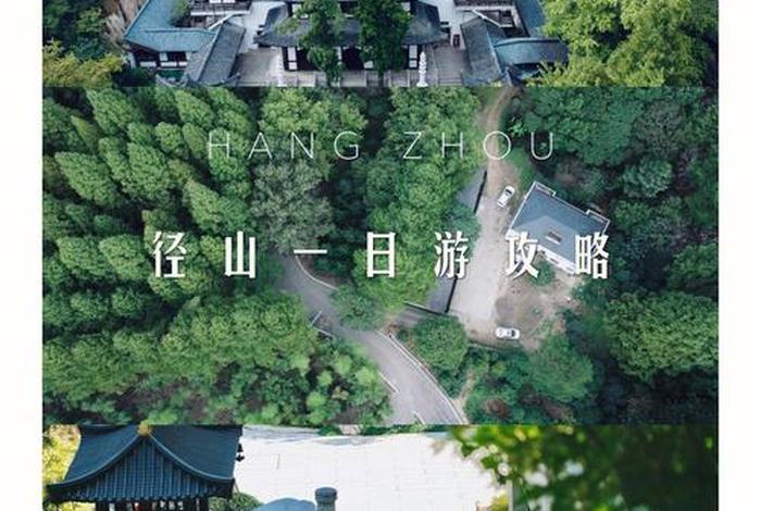潮音禅院最新视频 - 潮音禅茶怎么样