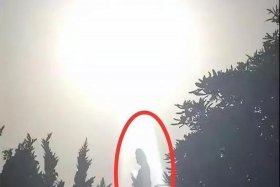 佛法回家 佛教回家的路图片
