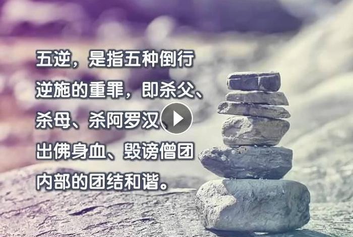 佛教教育（佛教教育短片视频100集）