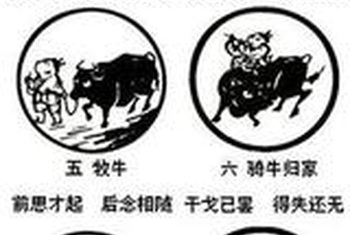 牛在佛教的典故 - 牛在佛教的典故中是什么