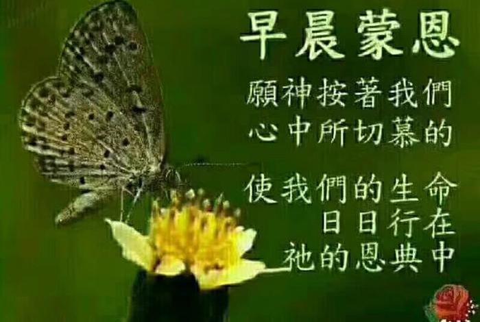 佛教保佑早日康复的句子、佛教祝愿病人早日康复的句子