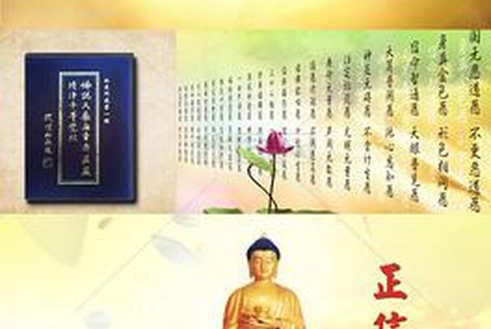 有关佛教知识视频大全（有关佛教知识视频大全下载）