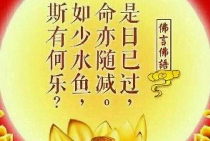 佛教善根是什么、什么是善根福德