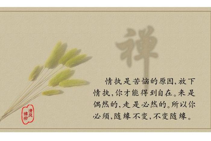 佛教中的生命禅悟 佛教讲生命