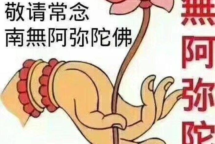佛教信愿行是什么意思学佛网、佛教的信愿行怎么解释