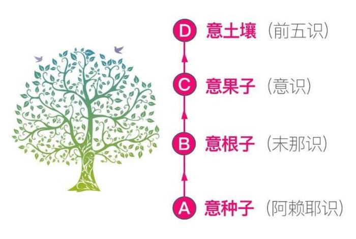 佛教老师讲解阿赖耶识 - 佛教阿赖耶什么意思