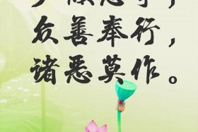 佛教常见用语（佛教用浯）