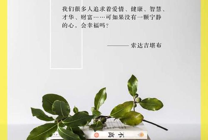 佛学课程 - 佛学课程班