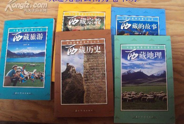 介绍西藏佛教历史的书 了解西藏历史的书