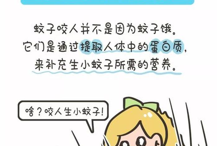 佛教徒可以杀蚊子吗；信佛可以杀蚊子吗
