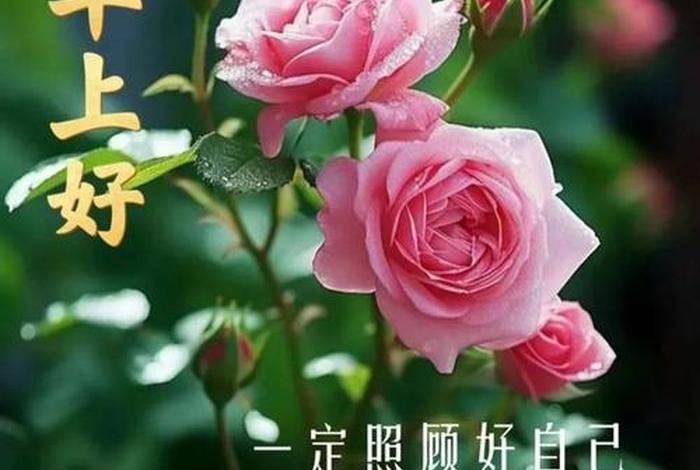 用慈悲化解一切矛盾和冲突（用慈悲化解一切矛盾和冲突的句子）