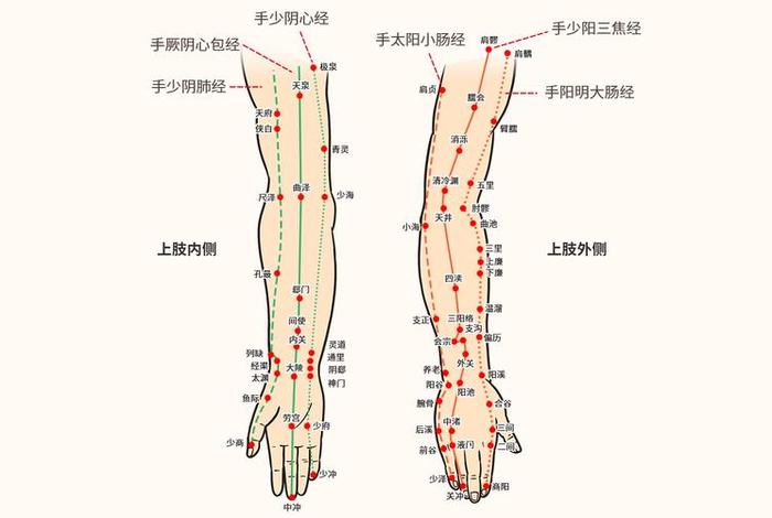 三阴是哪；三阴是哪条经络