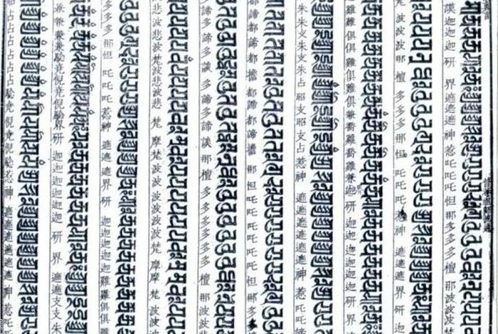 普奄咒的功能及作用 普奄咒词