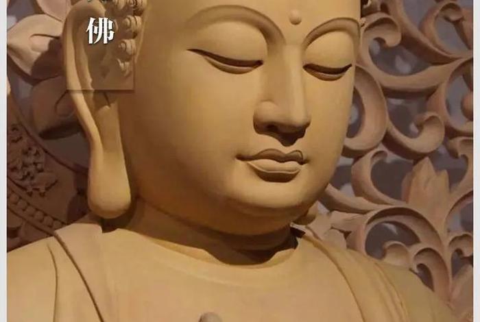 佛教的见惑分为哪几种；佛教中的见