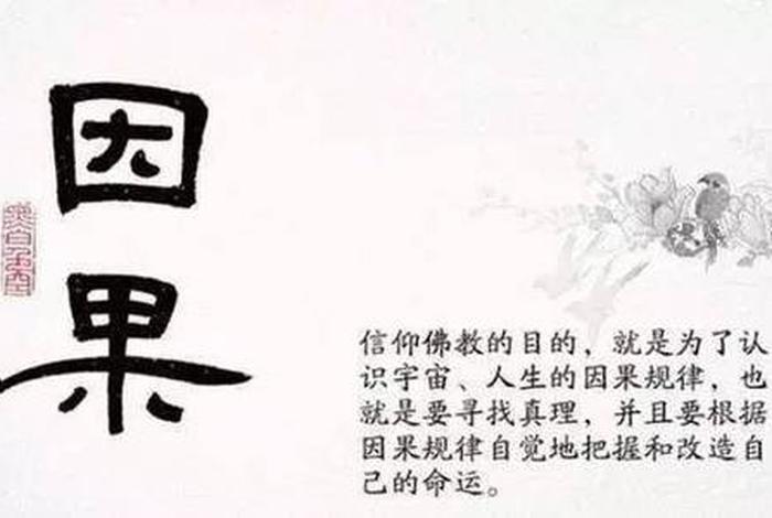 佛教因与果的简单解说 因与果 佛说