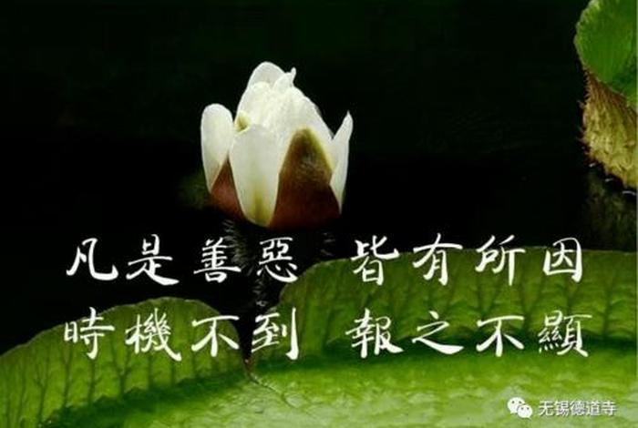 佛讲善恶报应（善恶报应经）