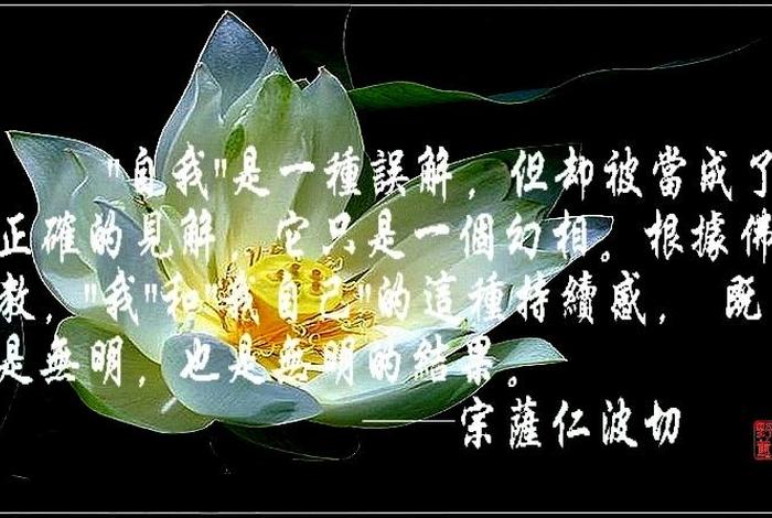 佛教的最高智慧词语，佛教的最高智慧词语是什么