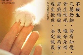 佛教点杀是什么意思 点杀 杀生