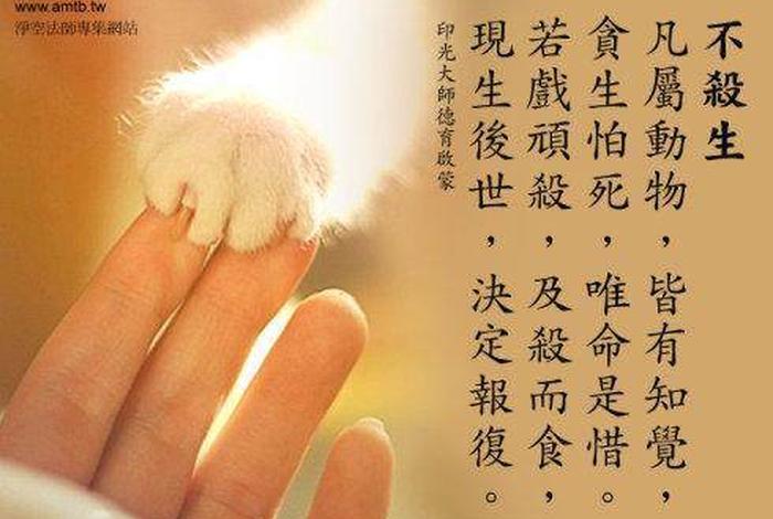 佛教点杀是什么意思 点杀 杀生