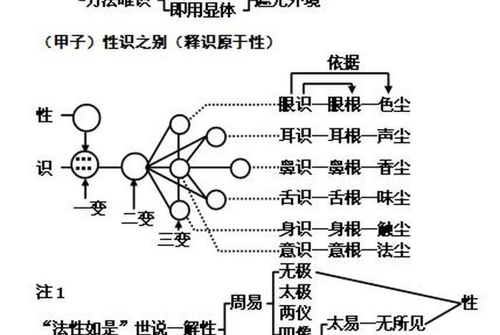 慧律法师讲唯识，慧律法师讲唯识简介佛弟子网