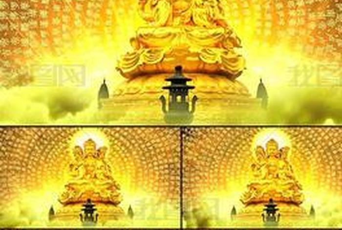 佛教小视频大全高清（佛教的小视频）