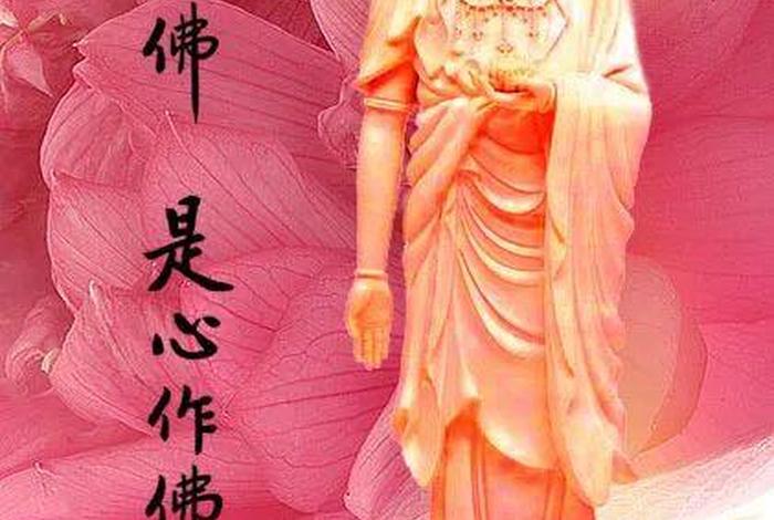 秒懂百科什么是佛；什么叫佛嫒