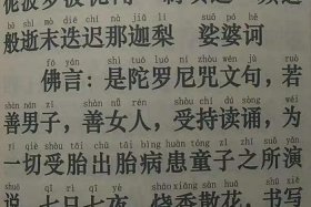 佛教长寿的理论知识有哪些书 学佛长寿