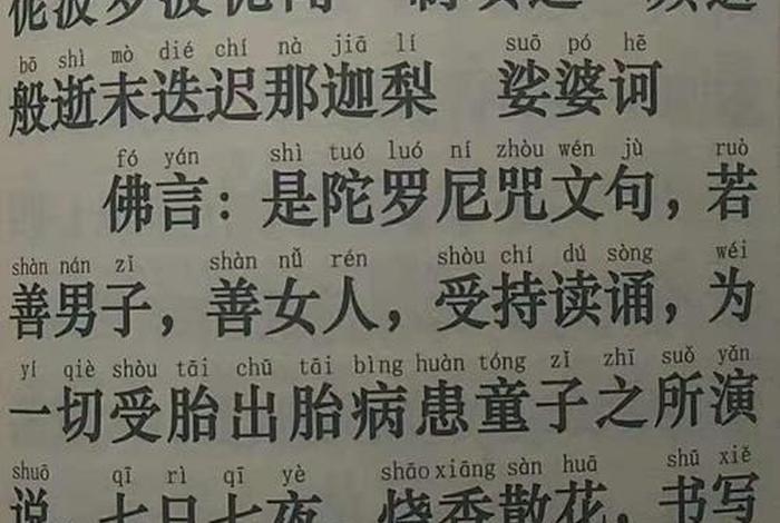 佛教长寿的理论知识有哪些书 学佛长寿