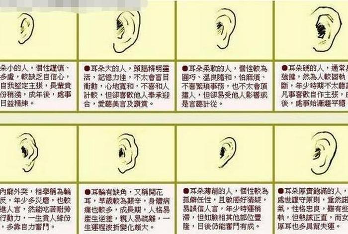 有趣的命理常识大全（有趣的命理常识大全图解）