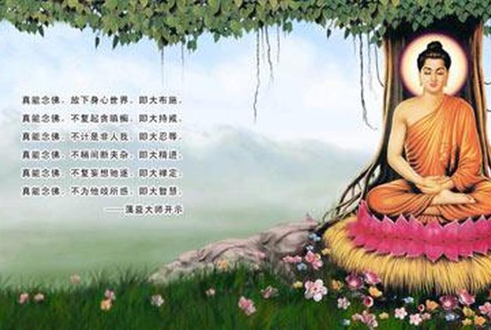 佛教心识；佛教心识转移