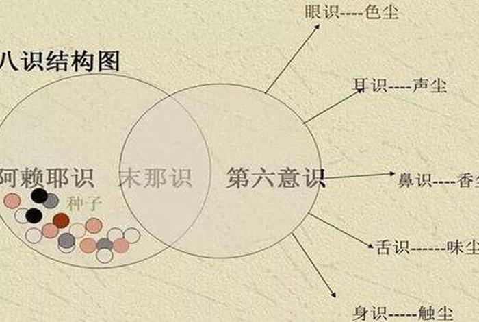 佛教四生九有、佛教四生九有是指