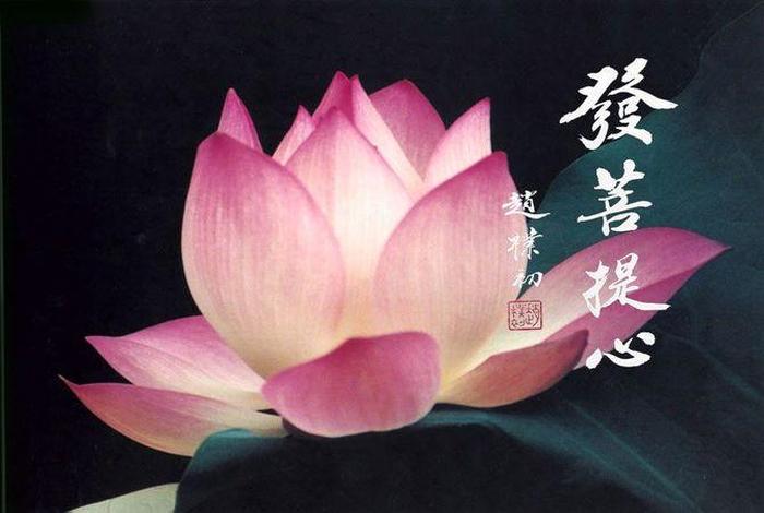发菩提心有什么样的功德、啥叫发菩提心