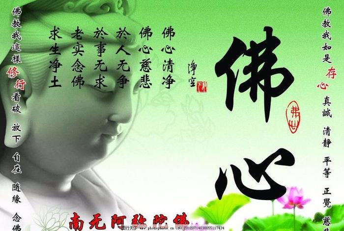 佛说不如意（佛说不如意事）