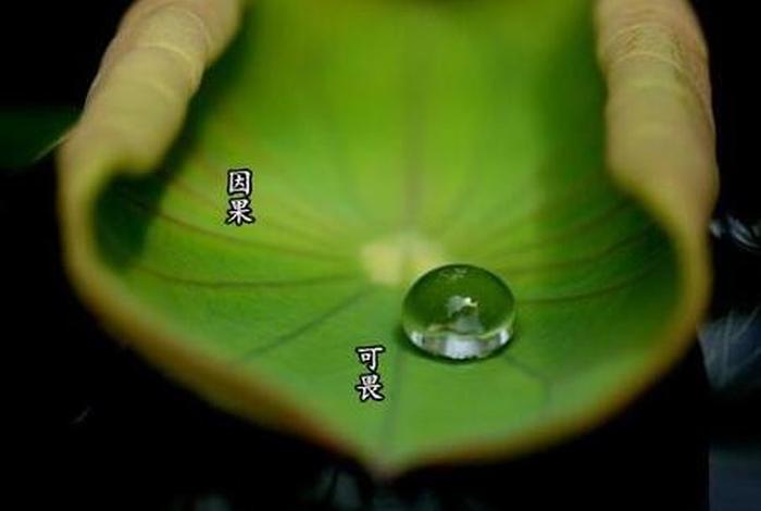 佛教恶语 - 佛教恶语伤人的果报