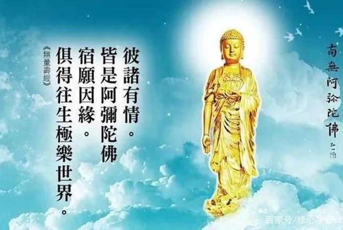 佛教里有很多智慧、佛教里的智慧