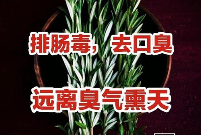 臭气熏天的意思解释 - 臭气熏天臭气熏天