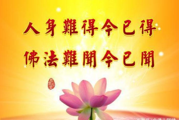 佛教对善的诠释；佛教对善的诠释和理解