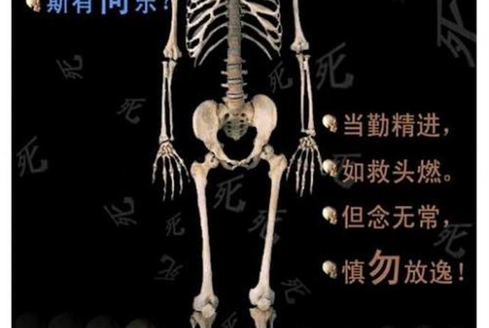 佛教不净观说法；佛学不净观
