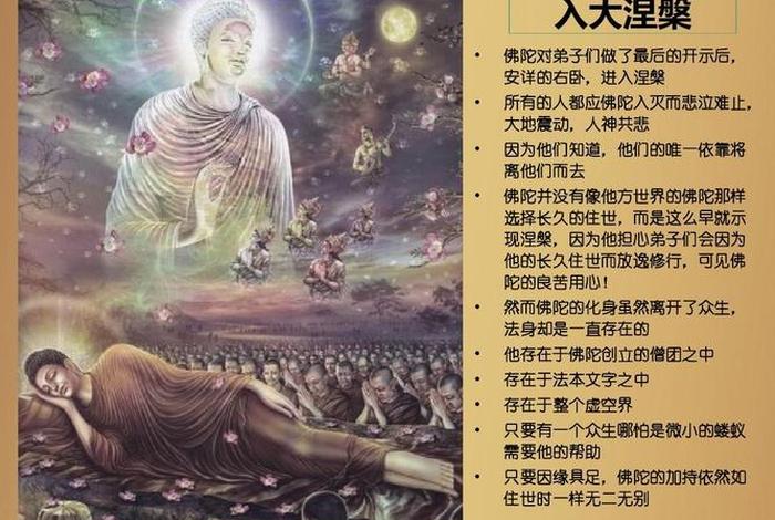 佛教故事生命的意义（佛教对生命的解释）