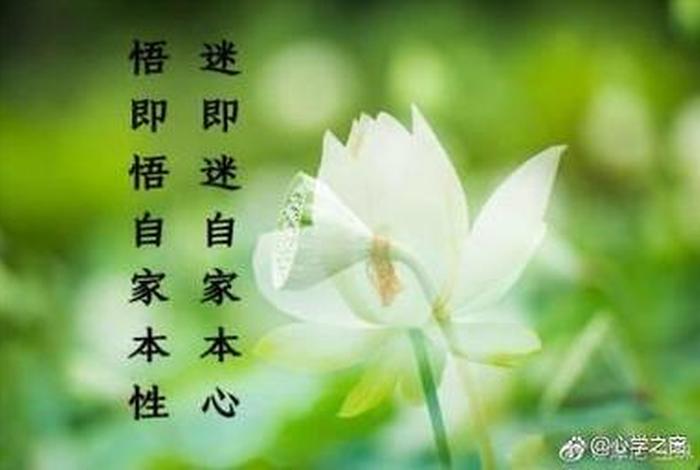 程序员心学；程序员的心态